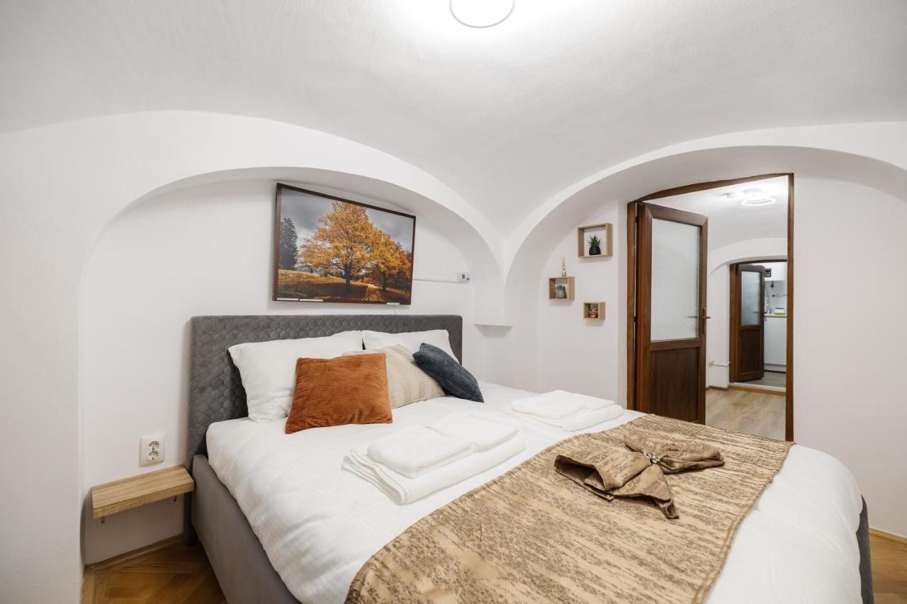 Downtown Cio Apartment Sibiu Buitenkant foto