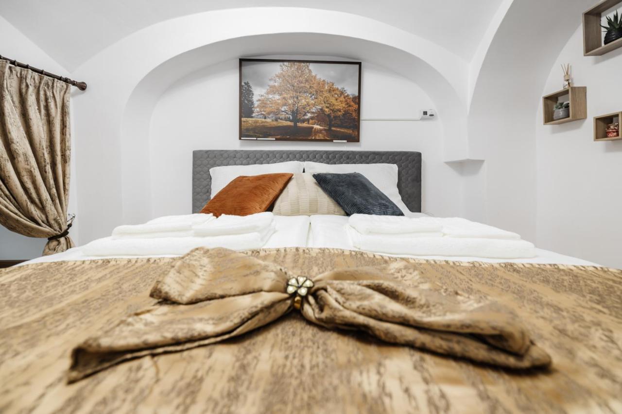 Downtown Cio Apartment Sibiu Buitenkant foto