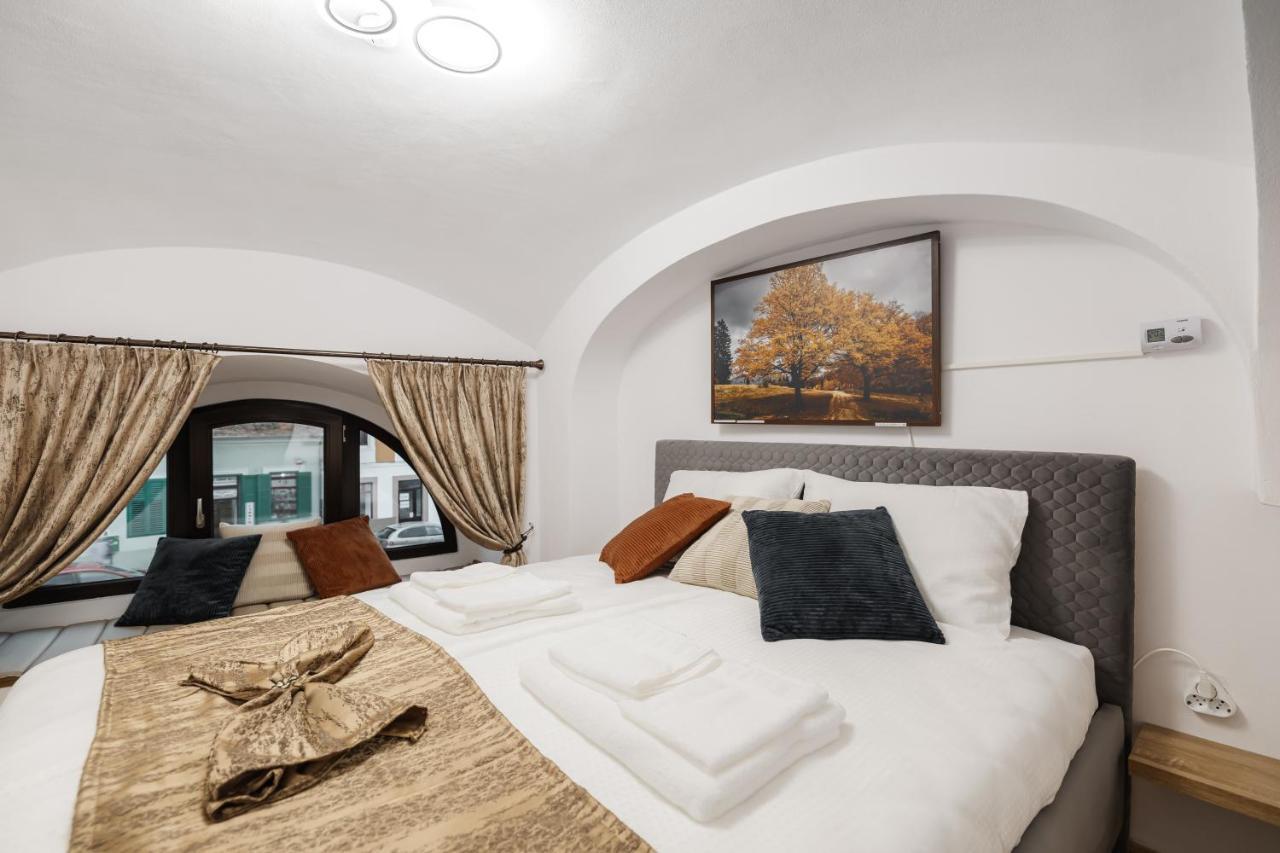Downtown Cio Apartment Sibiu Buitenkant foto